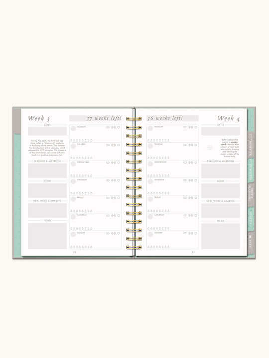 Countdown to Baby Journal/Planner Book